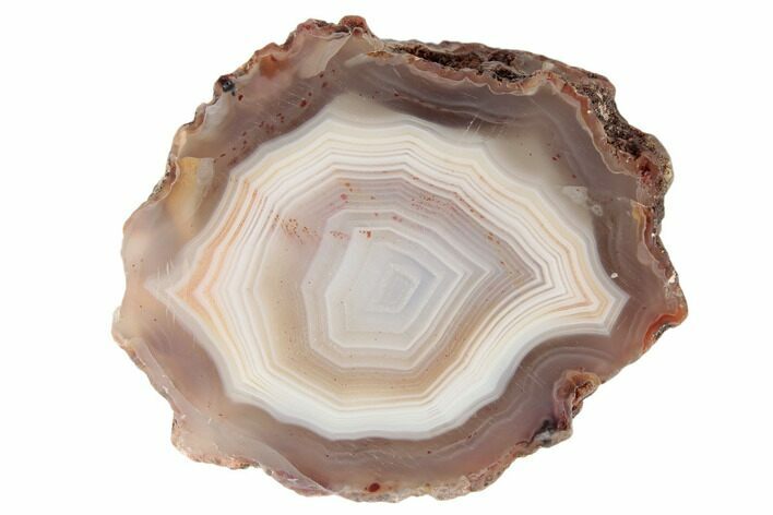 Polished Banded Agate Nodule Half - Morocco #187153